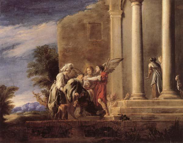 FETI, Domenico The Healing of Tobit Spain oil painting art